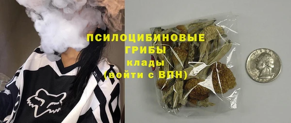 сатива Алзамай
