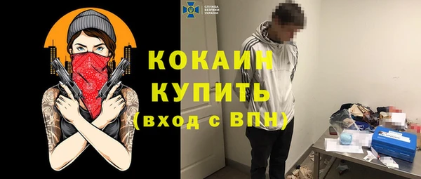ешки Алексин