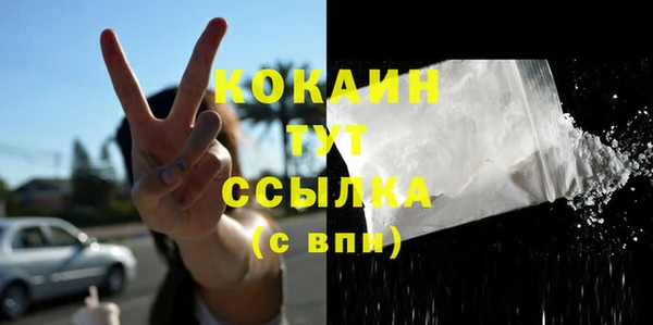 сатива Алзамай