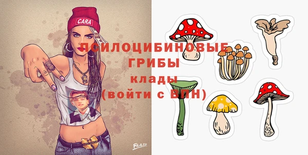 сатива Алзамай
