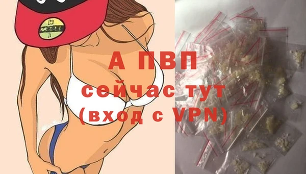 сатива Нягань