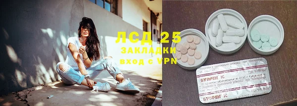 ешки Алексин