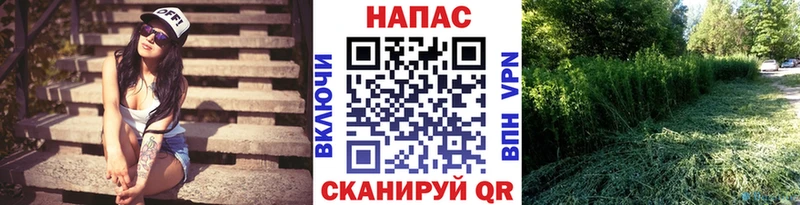 Каннабис сатива  Невьянск 